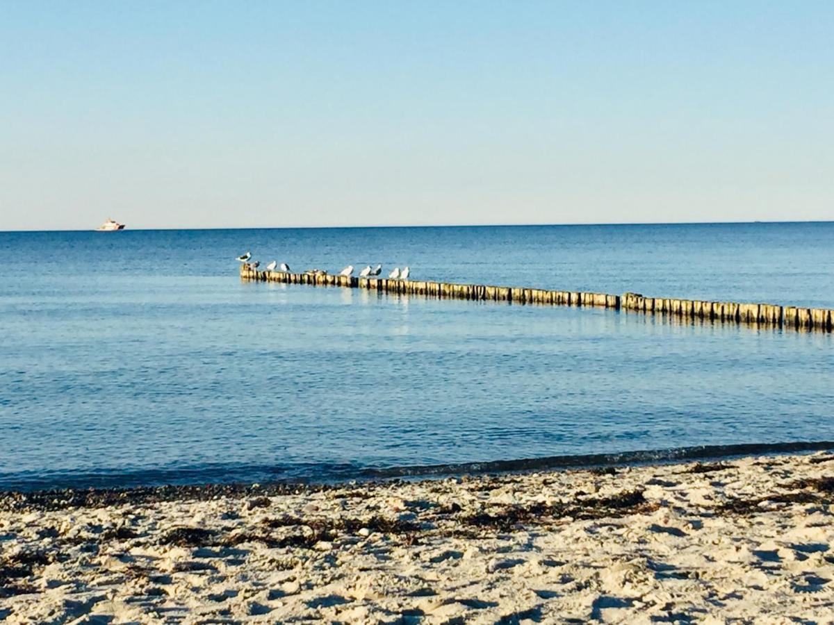 Aparthotel Waterkant Suites - Fewos Am Meer Mit Spa Boergerende-Rethwisch Luaran gambar